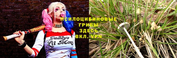 каннабис Ладушкин