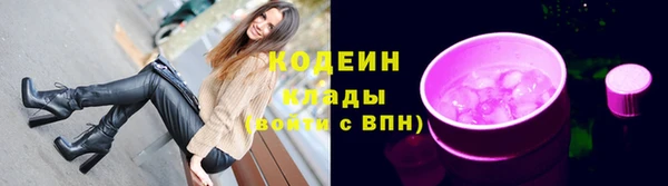 индика Лагань