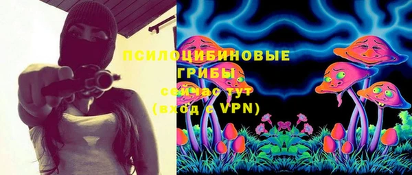 индика Лагань