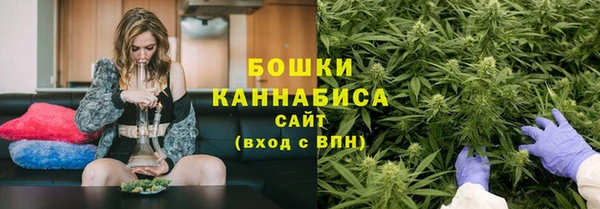 индика Лагань
