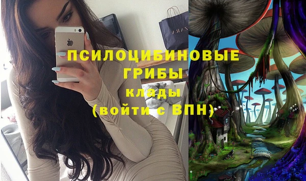 ECSTASY Лабытнанги